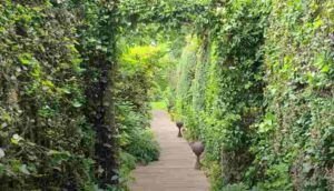 Italian gardening traditions