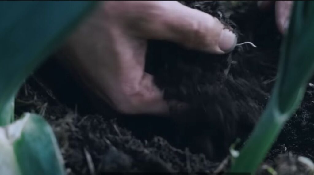 Italian sustainable agriculture techniques