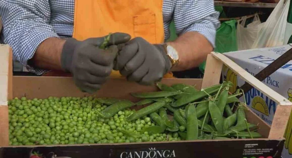 Tour The Best Italian Markets With Our Guides