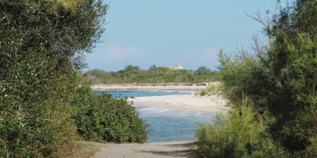 La Pelosa, Sardinia